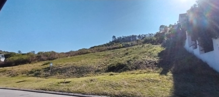 0 Bedroom Property for Sale in Green Pastures Western Cape